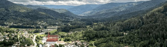 Bleuforet: Crafting Quality and Sustainability - Posh Boutique