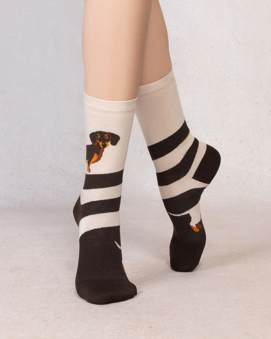 Dachshund SocksPosh Boutique