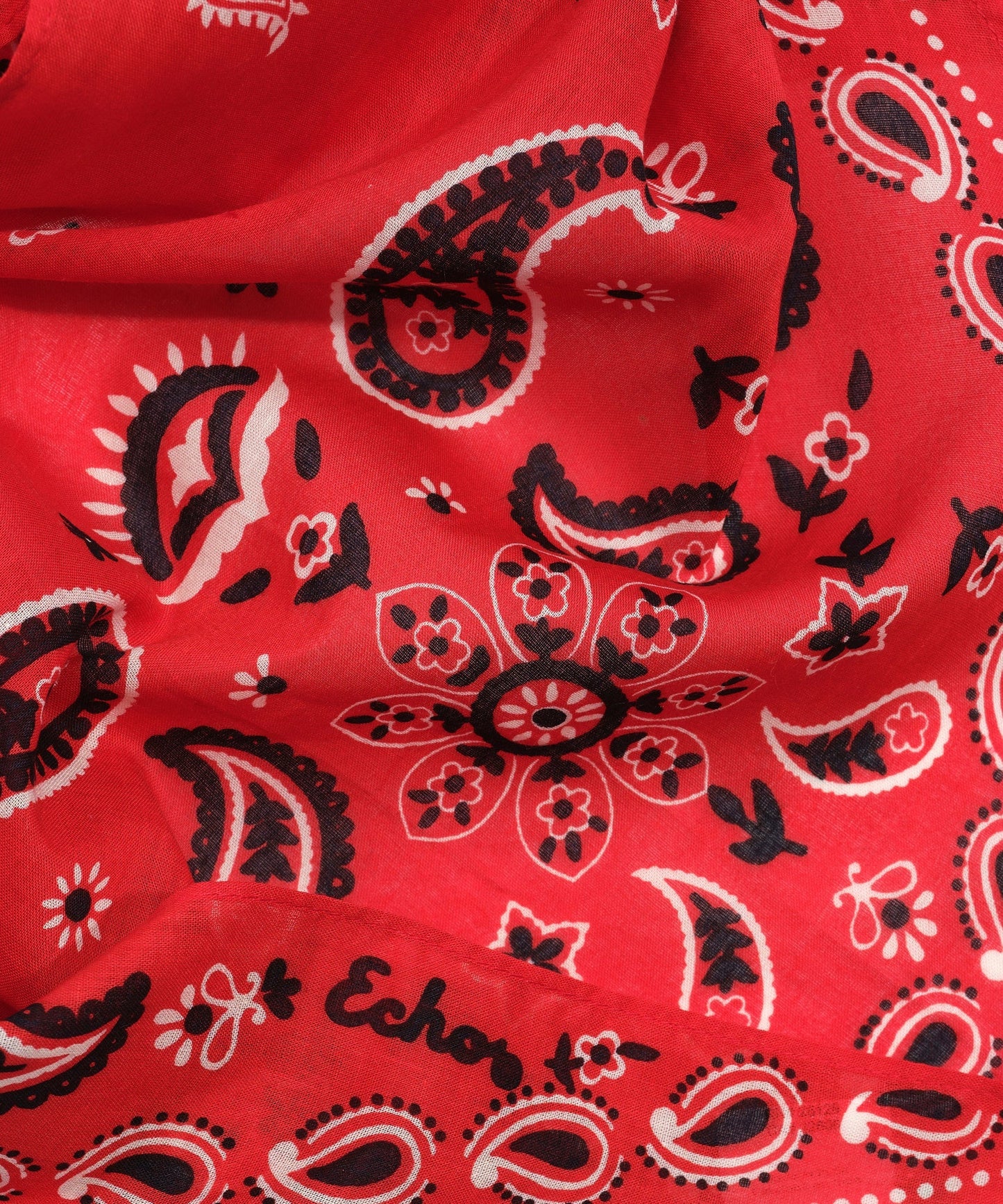 Paisley Triangle BandanaPosh Boutique