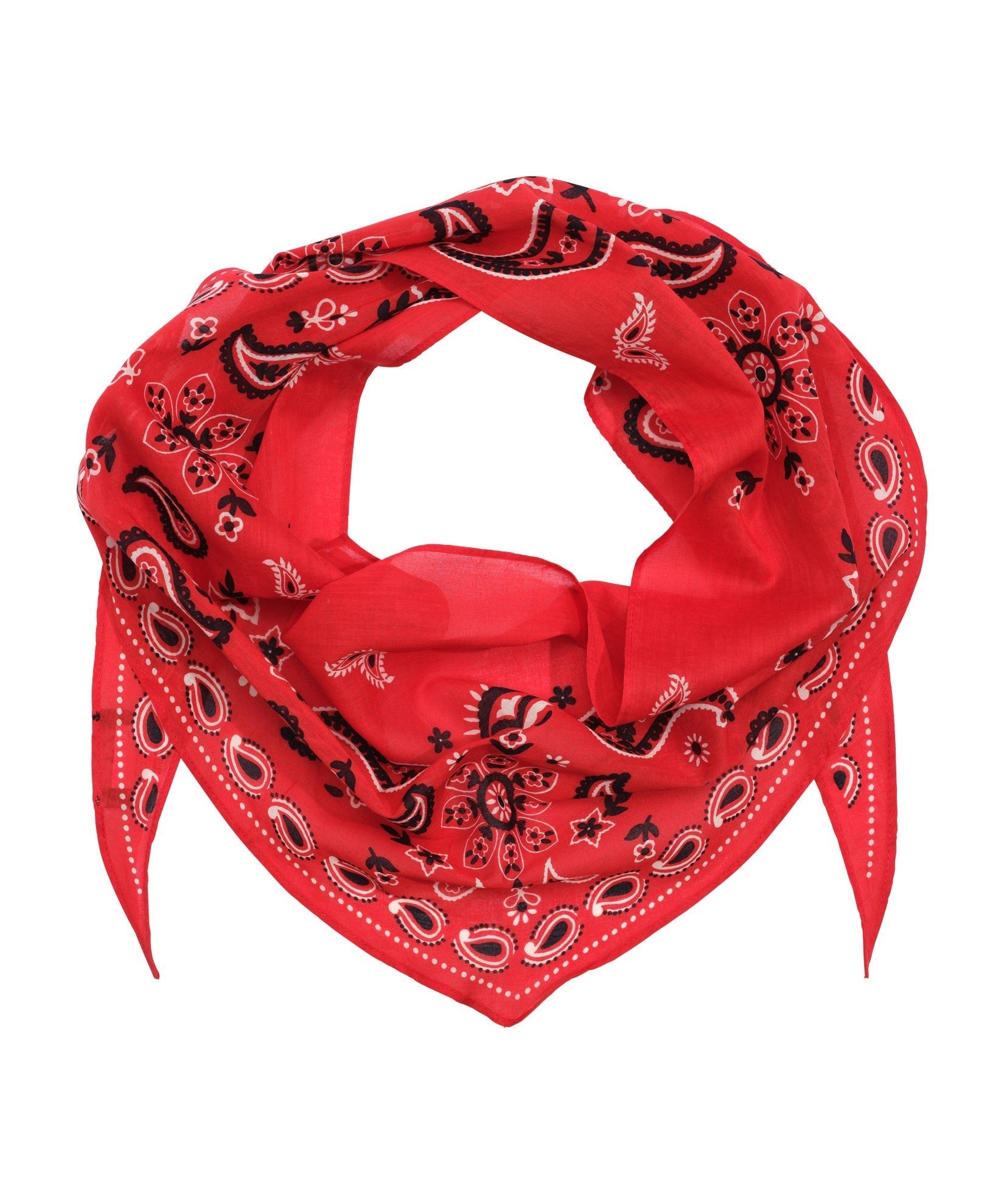 Paisley Triangle BandanaPosh Boutique